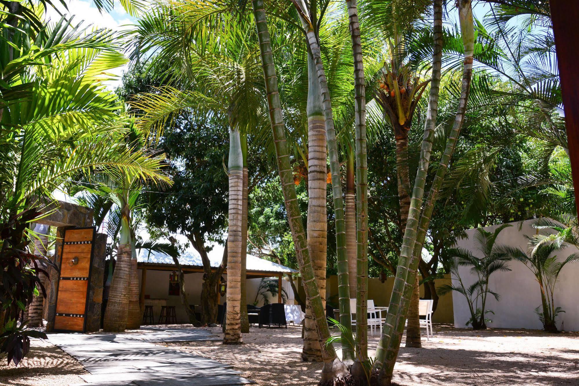 La Margarita Pointe aux Piments